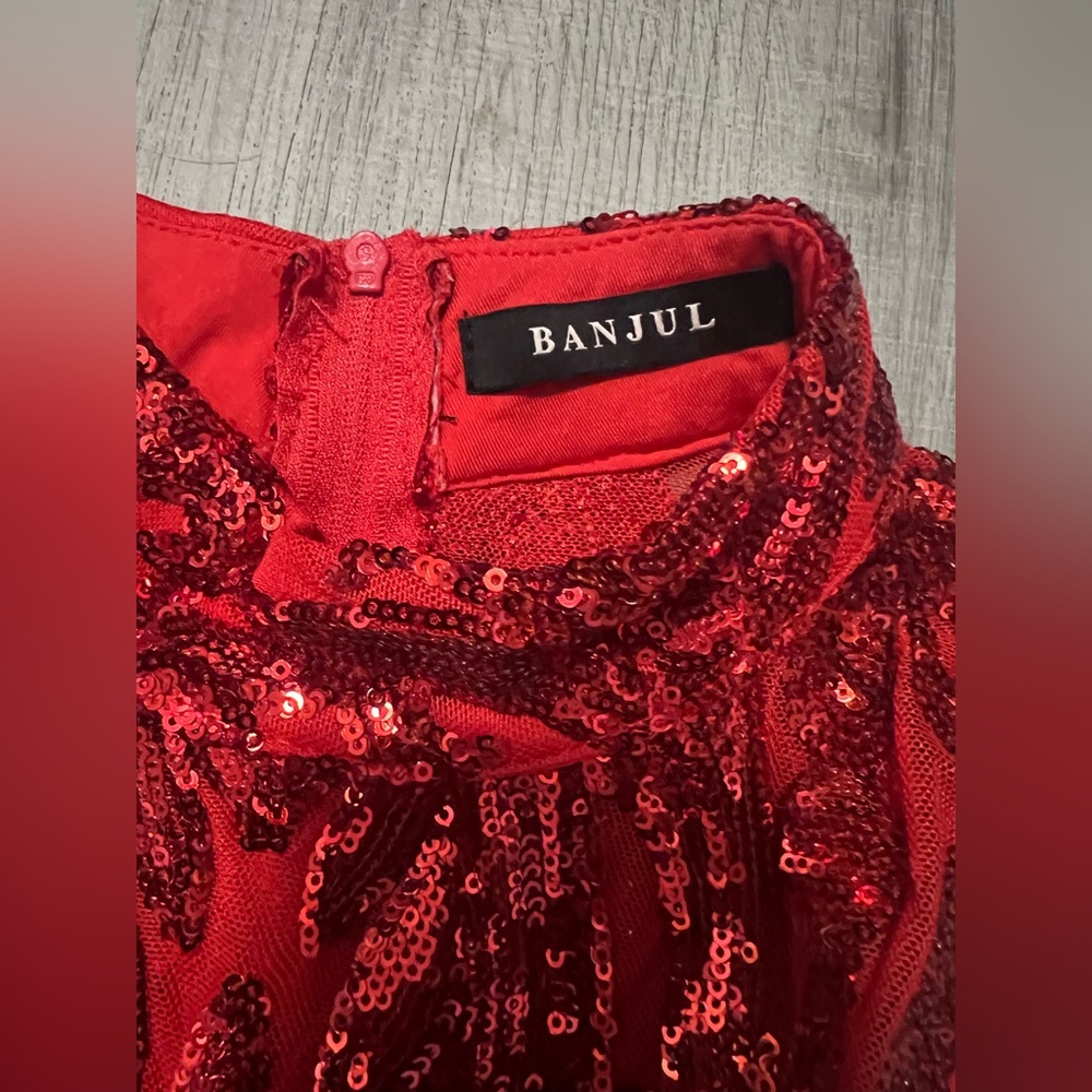 Red Sequin Midi Dress - Picture 6 of 14